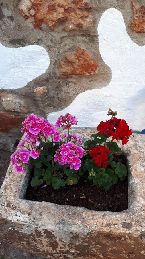 אלמנסיל Guest House Almeixar מראה חיצוני תמונה