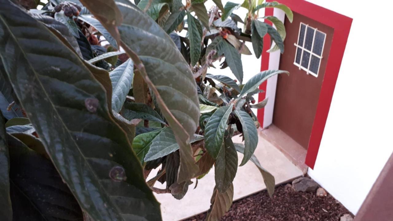 אלמנסיל Guest House Almeixar מראה חיצוני תמונה